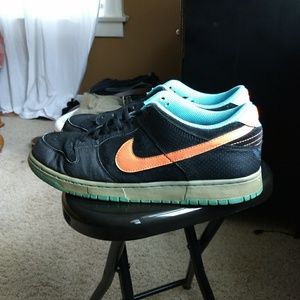 Nike 6.0 Skate Sneakers